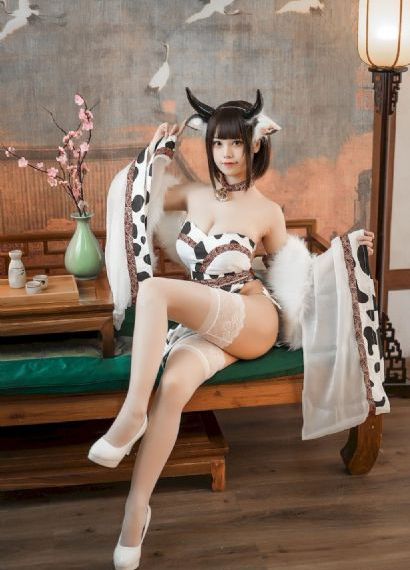 国产男同在线观看