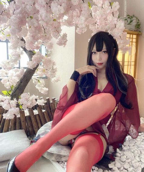 全网网站