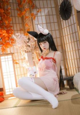 姑娘第4集在线观看