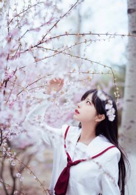 杨思敏新金瓶梅