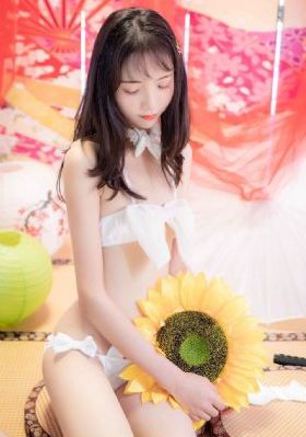 小熊猫